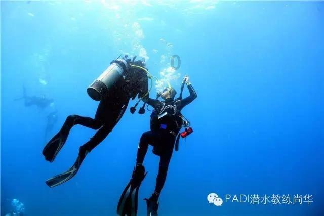 究竟是怎样的仇恨,致使加拿大亚裔女儿买凶来杀害亲生父母?