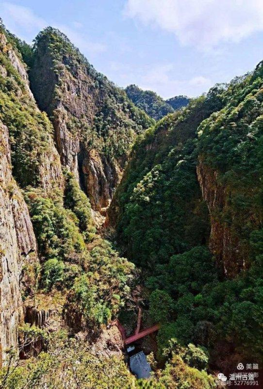 北格同盟画室：2024艺考志愿填报，史诗级难度攻略全解析！